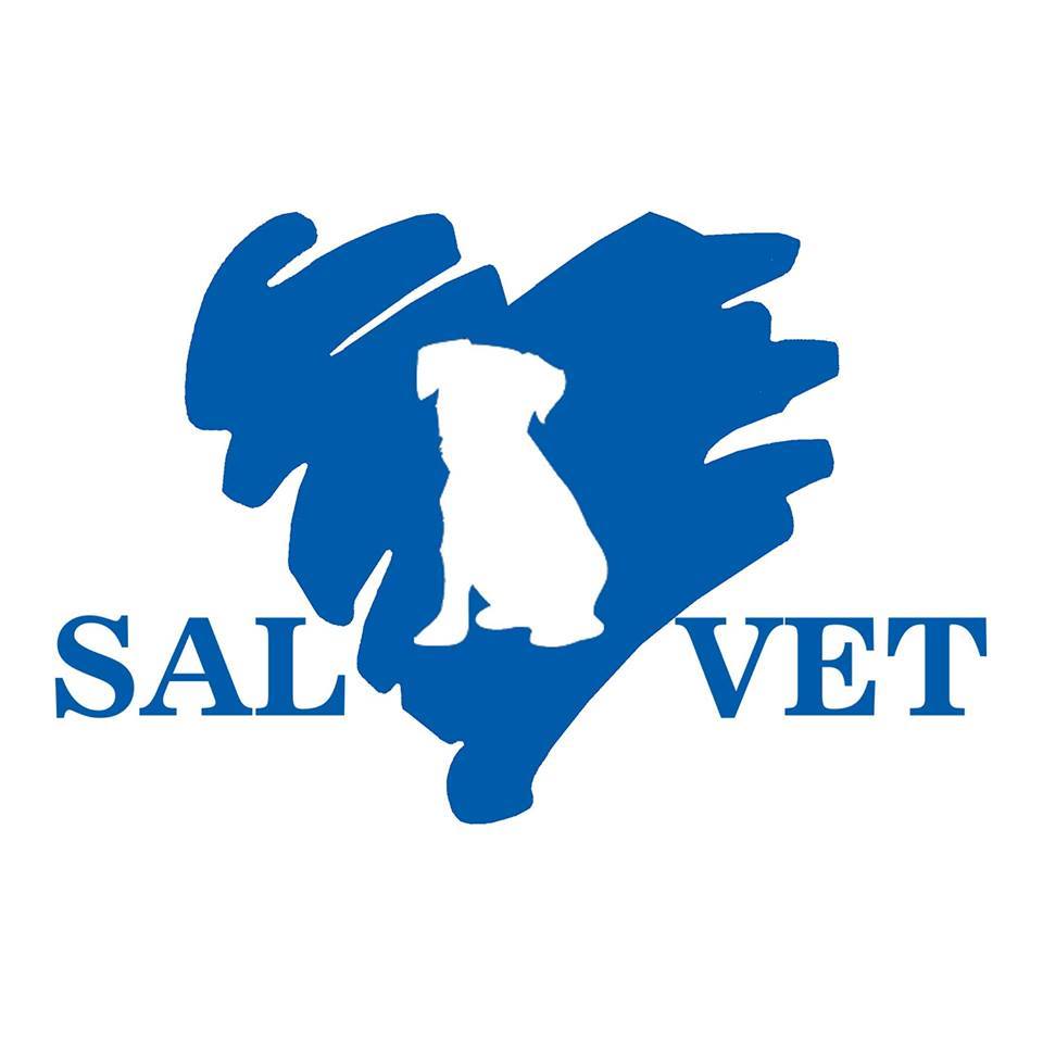 CABINET VETERINAR SALVET, MERISANI