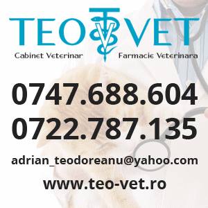 CABINET VETERINAR TEOVET, ȘCHEIA