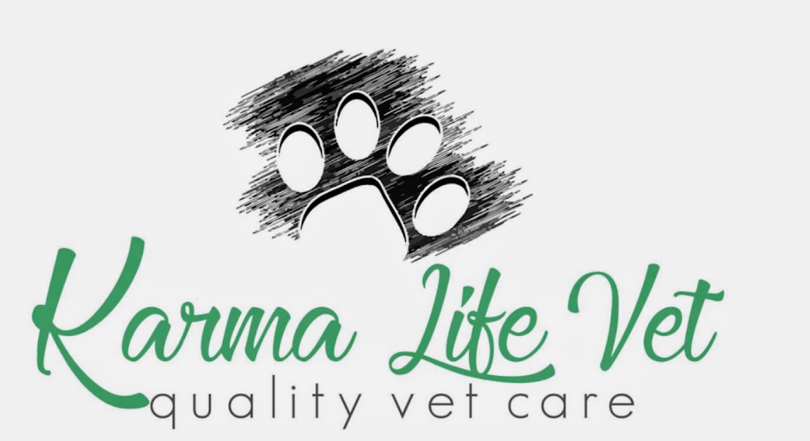 CLINICA KARMA LIFE VET, FOCȘANI