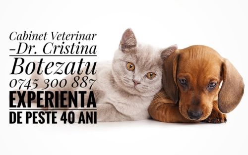 CLINICA VETERINARĂ ANIMAL PLANET & BNC, FOCȘANI