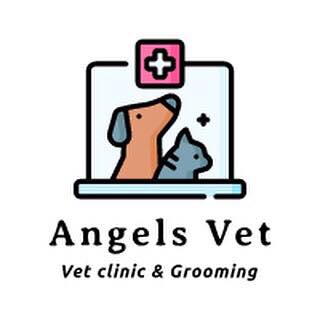 CLINICA VETERINARĂ ANGELS VET, BUCUREȘTI