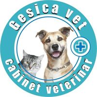 CABINET VETERINAR GESICA VET&CO SERVICE, BUCUREȘTI