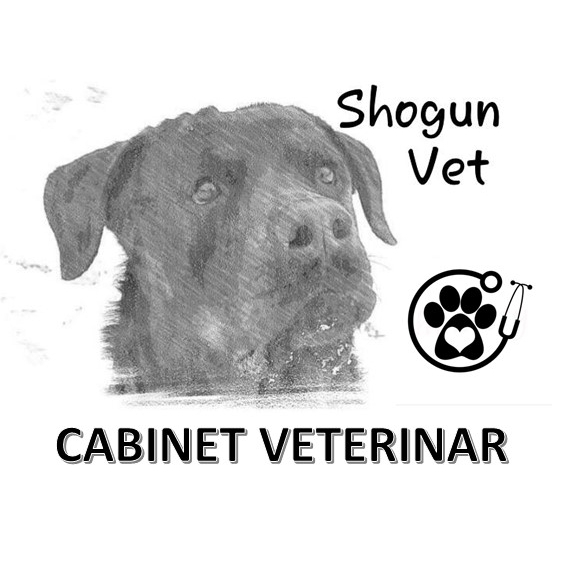 CABINET VETERINAR SHOGUN VET, BUCUREȘTI