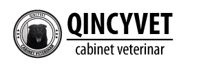 CLINICA VETERINARĂ QINCYVET, BUCUREȘTI