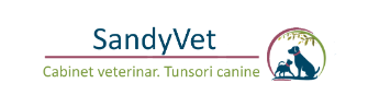 CABINET VETERINAR TAZY VET, BUCUREȘTI